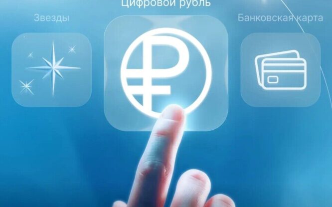 Первый пассажир NordStar купил билет за цифровые рубли