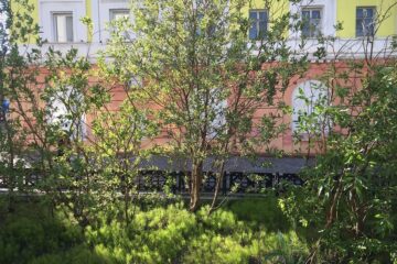 На Никелевом заводе почти за девять лет разобрали здания и оборудование четырех цехов
