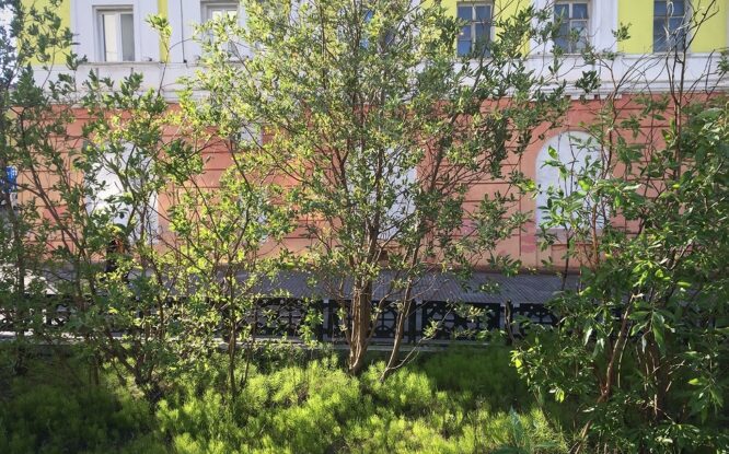 На Никелевом заводе почти за девять лет разобрали здания и оборудование четырех цехов
