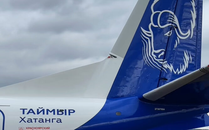 «КрасАвиа» представила брендированный самолет «Таймыр. Хатанга» с овцебыком на киле
