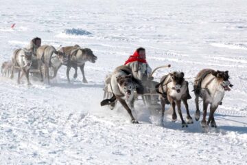 23 коренных северянина пройдут обучение в школе «Бизнес в ритме тундры»