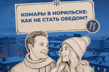 Как не стать обедом для комаров в Норильске, выяснили ведущие проекта «Правила холода»