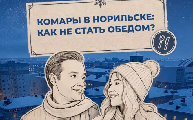 Как не стать обедом для комаров в Норильске, выяснили ведущие проекта «Правила холода»
