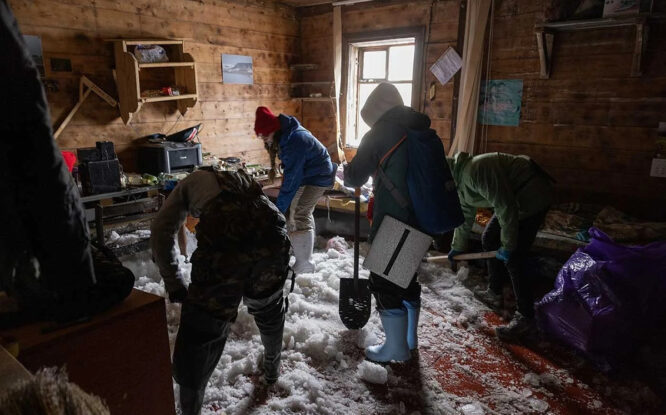 Белые медведи утащили матрас и книги с полярной станции и устроили «отпуск» на берегу