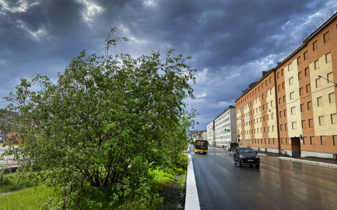 Выходные на «макушке» августа в Норильске будут пасмурными
