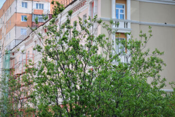 «Серная программа» вывела Красноярский край в лидеры по экоинвестициям в России