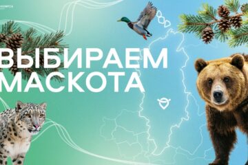 Международный аэропорт Красноярск ищет своего героя
