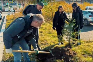В Дудинке высадили ели и рябины