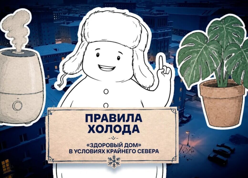 Нужно ли проветривать квартиру зимой или свежий воздух обеспечат комнатные растения