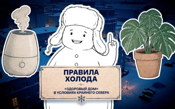 Нужно ли проветривать квартиру зимой или свежий воздух обеспечат комнатные растения