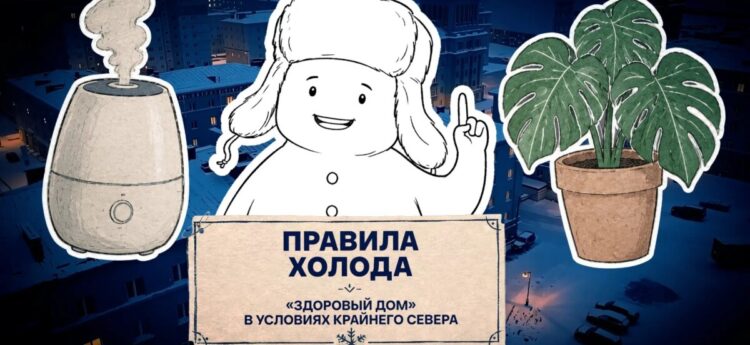 Нужно ли проветривать квартиру зимой или свежий воздух обеспечат комнатные растения